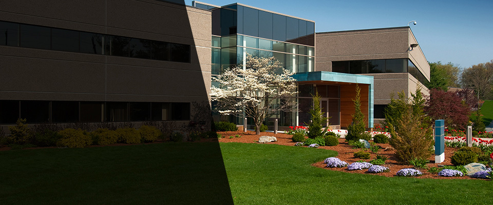 Lincoln Park Landscapers