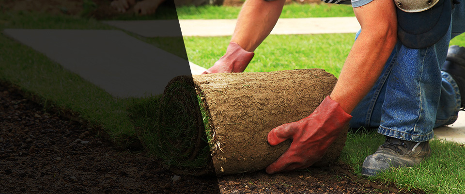 Lincoln Park Landscapers